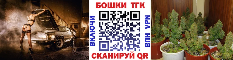 купить наркотики сайты  МЕГА зеркало  это клад  Верхний Тагил  Бошки Шишки Amnesia 